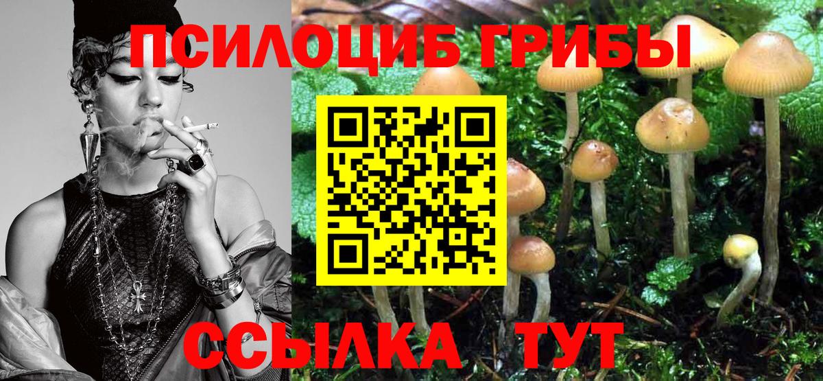 Псилоцибиновые грибы мухоморы Лысьва